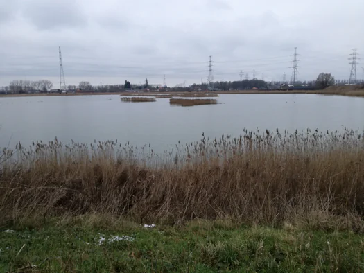 Plains of Zwijndrecht, Antwerp (Belgium)